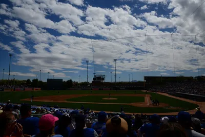 DSC_1525 (Large).JPG